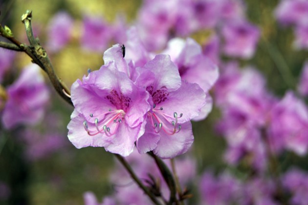 사본 -DSC04721640.jpg 사본 -DSC04721640.jpg